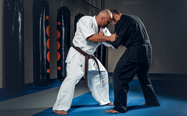 ju jitsu villars
