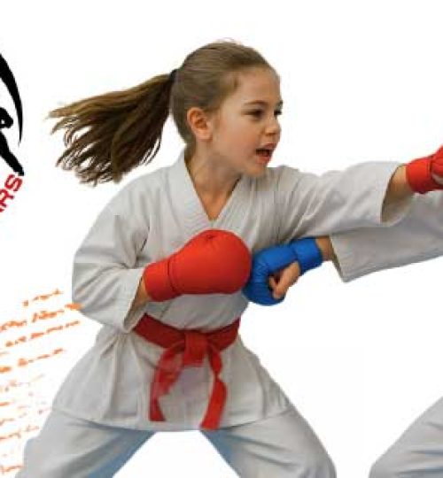 karate enfants